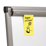 Neuland FlipChart Professional 3000