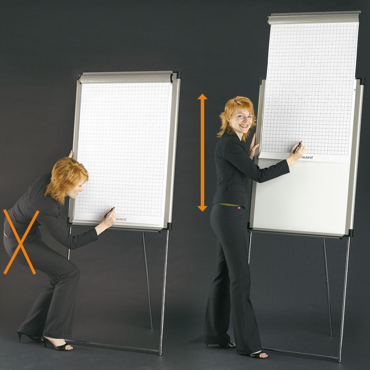 Neuland FlipChart Professional 3000 ERGO